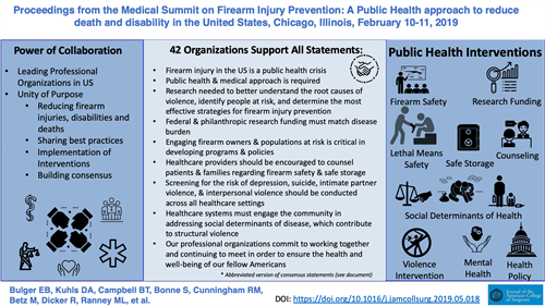 Graphic: Proceedings from the Medical Summit on Firearm Injury Prevention: A Public Health approach to reduce death and disability in the United States