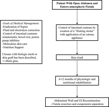 Figure 2. Intestinal fistula complicating the open abdomen flow diagram.